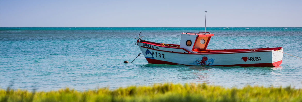 What makes Aruba so happy?